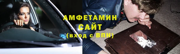 ГАЛЛЮЦИНОГЕННЫЕ ГРИБЫ Аркадак
