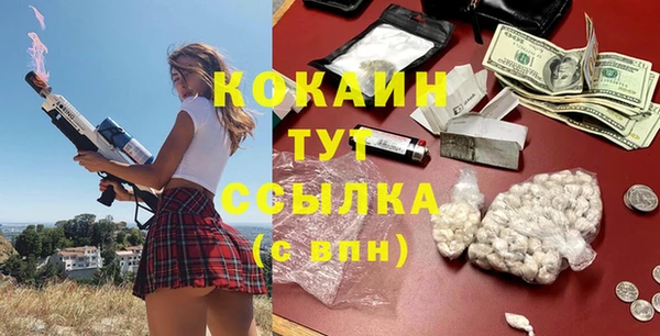 ГАЛЛЮЦИНОГЕННЫЕ ГРИБЫ Аркадак